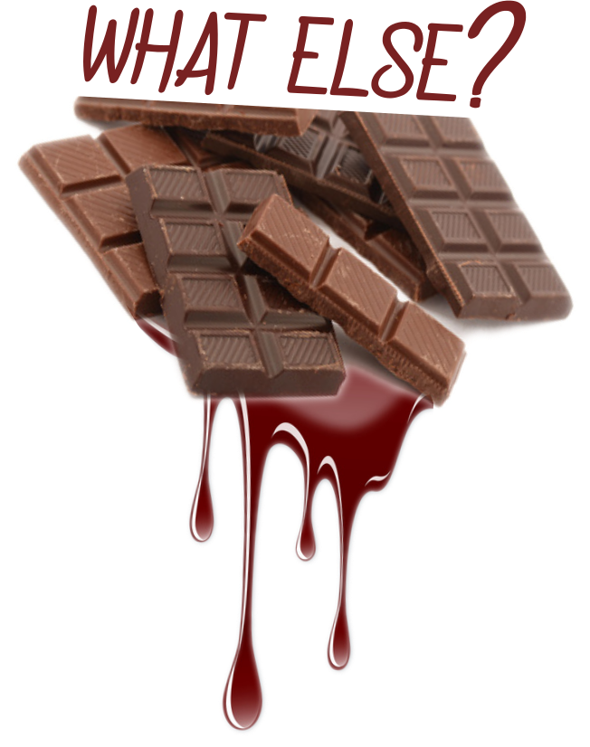 T-shirt "What Else? Chocolat" - L'Indispensable pour les Chocoholiques